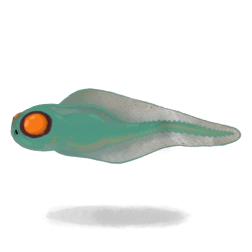 Ranacuajo - Slay the Spire 2 Monster